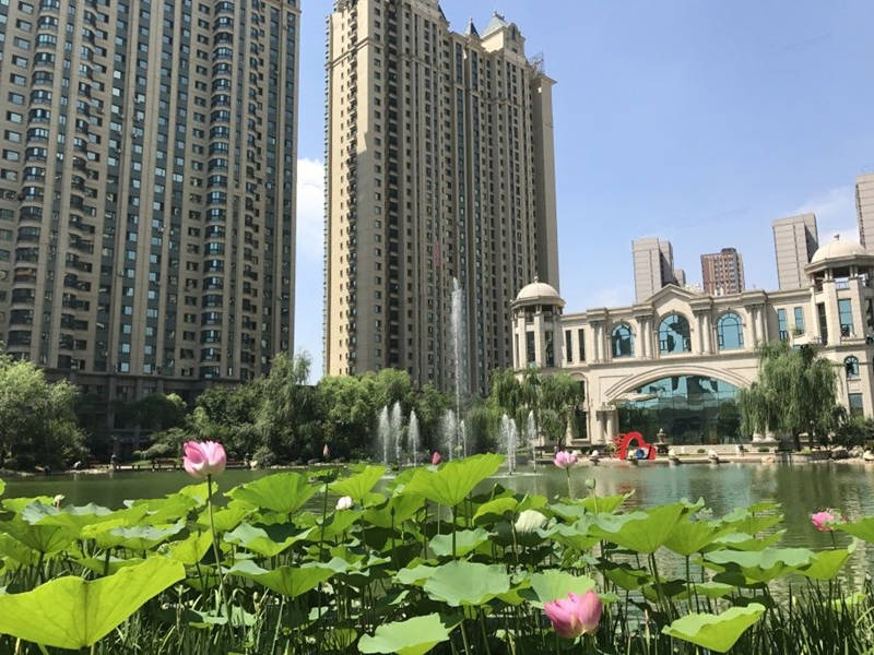 施工图审查的主要内容